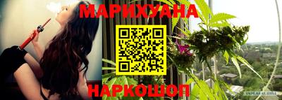индика Абакан